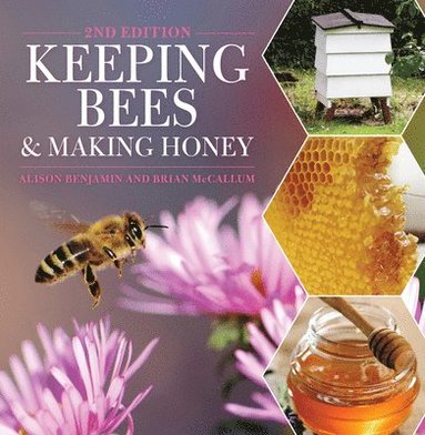 Alison Benjamin, Brian Mccallum - Keeping Bees and Making Honey, Häftad