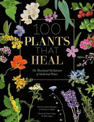 FrançOis Couplan, GéRard Debuigne, Pierre and DéLia Vignes - 100 Plants That Heal, Inbunden. Tillgänglighet: Lägg i varukorg