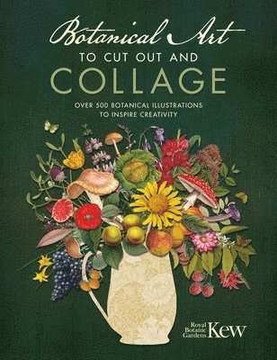 Kew Royal Botanic Gardens, Royal Botanical Gardens Kew - Botanical Art to Cut out and Collage, Häftad