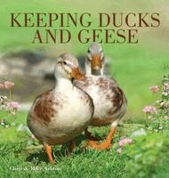 Chris Ashton, Mike Ashton - Keeping Ducks & Geese, Inbunden
