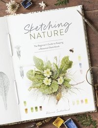 bokomslag Sketching Nature
