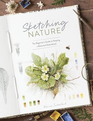 bokomslag Sketching Nature