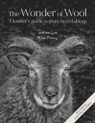 Justine Lee, Jess Morency - Wonder of Wool, Inbunden