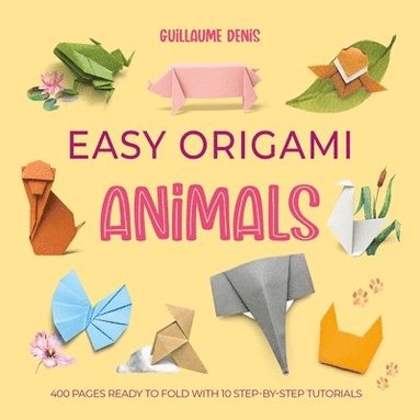 bokomslag Easy Origami Animals