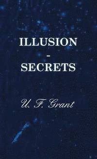bokomslag Illusion - Secrets