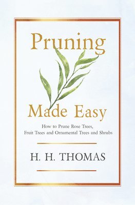 Pruning Made Easy - How To Prune Rose Trees, Fruit Trees And Ornamental Trees And Shrubs 1