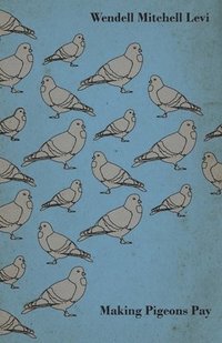 bokomslag Making Pigeons Pay - A Manual Of Practical Information On The Management, Selection, Breeding, Feeding, And Marketing Of Pigeons