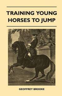 bokomslag Training Young Horses To Jump