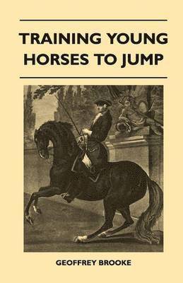 Training Young Horses To Jump 1