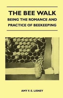 bokomslag The Bee Walk - Being The Romance And Practice Of Beekeeping