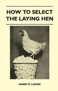 bokomslag How To Select The Laying Hen