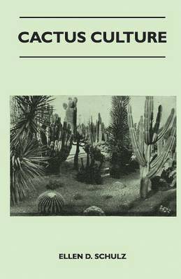 bokomslag Cactus Culture