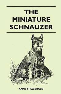 bokomslag The Miniature Schnauzer