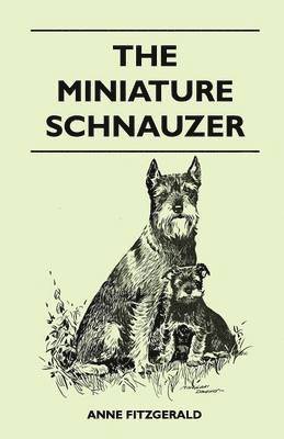 The Miniature Schnauzer 1