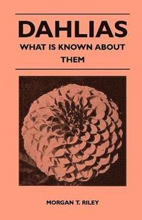bokomslag Dahlias - What Is Known About Them