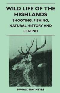 bokomslag Wild Life Of The Highlands - Shooting, Fishing, Natural History And Legend