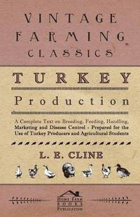 bokomslag Turkey Production - A Complete Text On Breeding, Feeding, Handling, Marketing And Disease Control - Prepared For The Use Of Turkey Producers And Agricultural Students