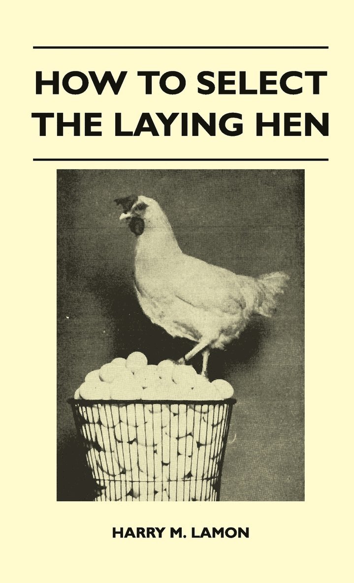 How To Select The Laying Hen 1