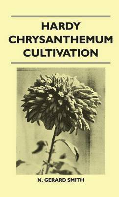 Hardy Chrysanthemum Cultivation 1