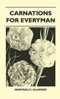 bokomslag Carnations For Everyman