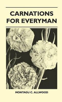 Carnations For Everyman 1