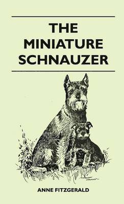 The Miniature Schnauzer 1