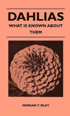 Dahlias - What Is Known About Them 1