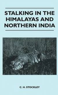 bokomslag Stalking In The Himalayas And Northern India