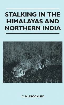 bokomslag Stalking In The Himalayas And Northern India
