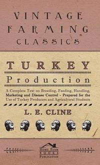 bokomslag Turkey Production - A Complete Text On Breeding, Feeding, Handling, Marketing And Disease Control - Prepared For The Use Of Turkey Producers And Agricultural Students