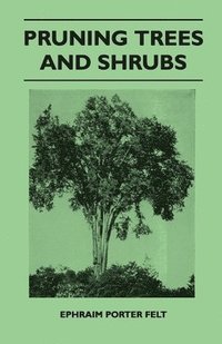 bokomslag Pruning Trees And Shrubs