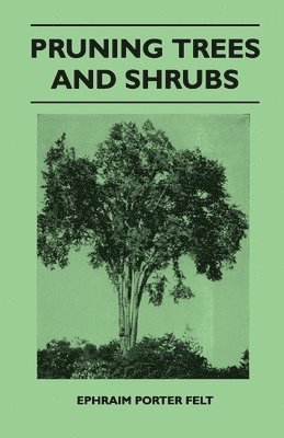 Pruning Trees And Shrubs 1