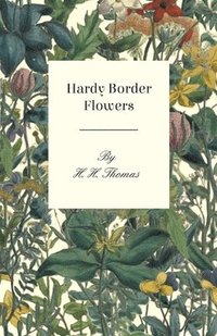 bokomslag Hardy Border Flowers