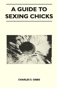 bokomslag A Guide To Sexing Chicks