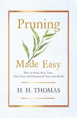 H. H. Thomas, H. H. Thomas - Pruning Made Easy - How To Prune Rose Trees, Fruit Trees And Ornamental Trees And Shrubs, Häftad