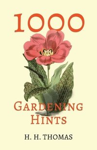 bokomslag 1,000 Gardening Hints