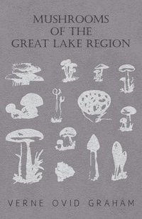 bokomslag Mushrooms Of The Great Lake Region - The Fleshy, Leathery, And Woody Fungi Of Illinois, Indiana, Ohio And The Southern Half Of Wisconsin And Of Michigan
