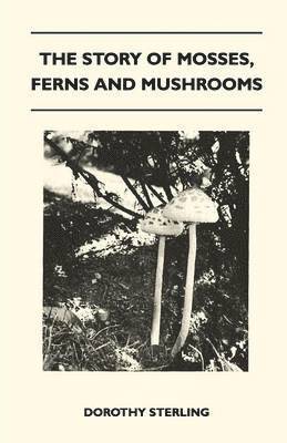 The Story Of Mosses, Ferns And Mushrooms 1