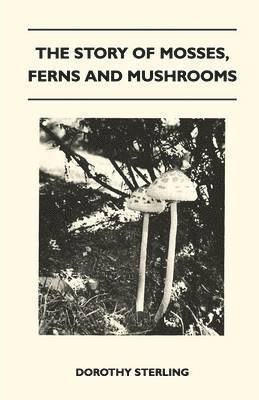 Story Of Mosses, Ferns And Mushrooms