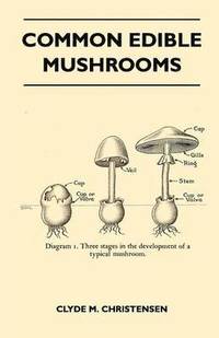 bokomslag Common Edible Mushrooms