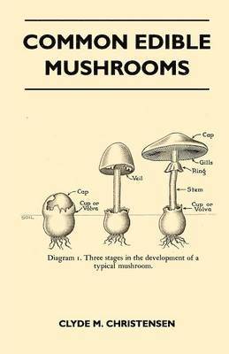 bokomslag Common Edible Mushrooms