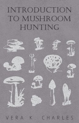 Introduction To Mushroom Hunting 1