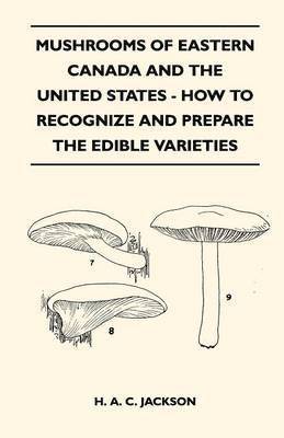 bokomslag Mushrooms Of Eastern Canada And The United States - How To Recognize And Prepare The Edible Varieties
