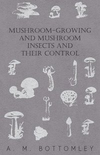 bokomslag Mushroom-Growing And Mushroom Insects And Their Control