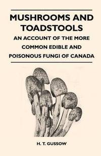 bokomslag Mushrooms And Toadstools - An Account Of The More Common Edible And Poisonous Fungi Of Canada