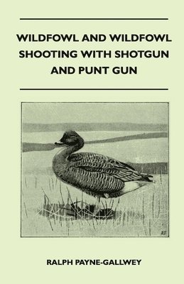 Wildfowl and Wildfowl Shooting with Shotgun and Punt Gun 1
