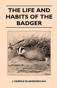 bokomslag The Life and Habits of The Badger