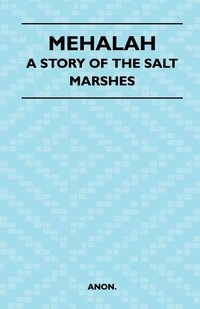 bokomslag Mehalah - A Story Of The Salt Marshes