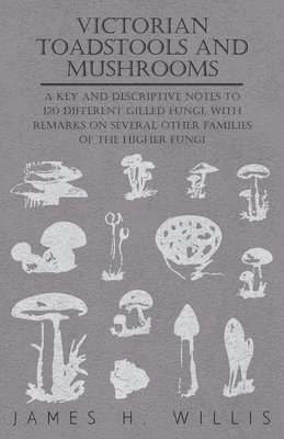 bokomslag Victorian Toadstools and Mushrooms - A Key and Descriptive Notes to 120 Different Gilled Fungi, With Remarks on Several Other Families of the Higher Fungi
