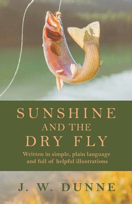 J. W. Dunne - Sunshine and the Dry Fly, Häftad